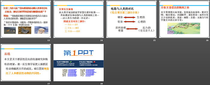 《作为生物的社会》PPT免费课件
（3）