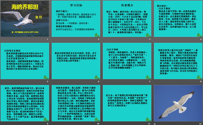 《海鸥乔那坦》PPT
（2）