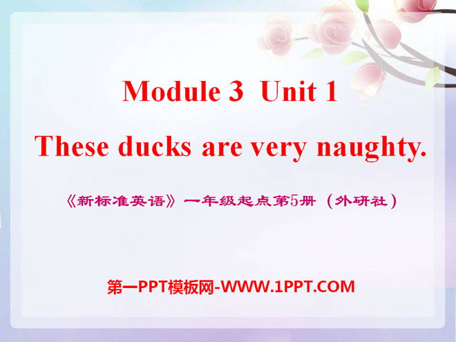 《These ducks are very naughty!》PPT課件3