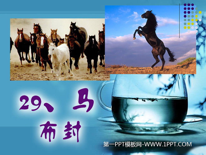 "Horse" PPT courseware 5