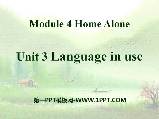 《Language in use》Home alone PPT课件