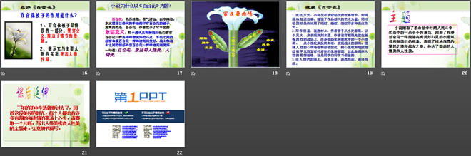 《百合花》PPT课件
（3）
