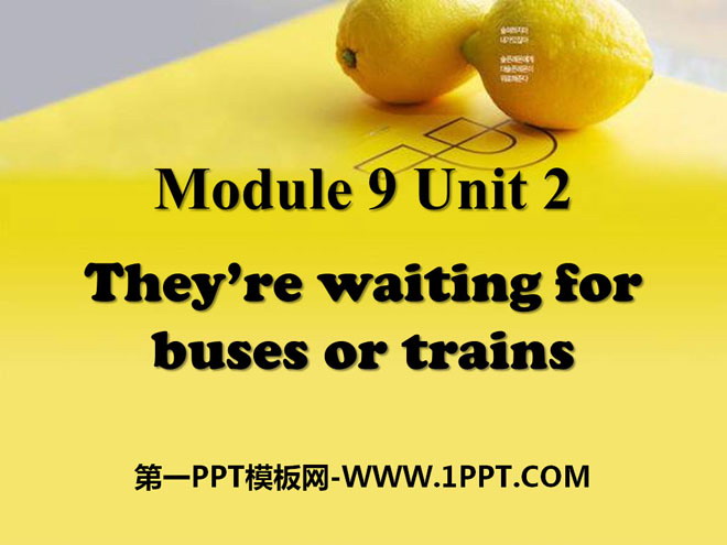 《They're waiting for buses or trains》PPT课件3