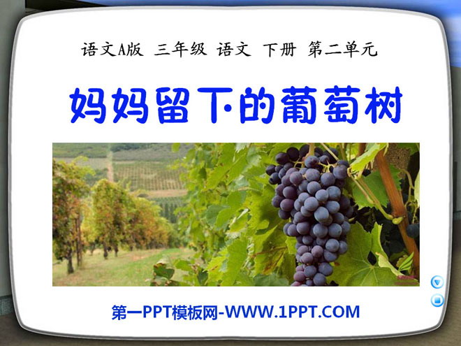 "The Grapevine Left Behind by Mom" ​​PPT Courseware 2