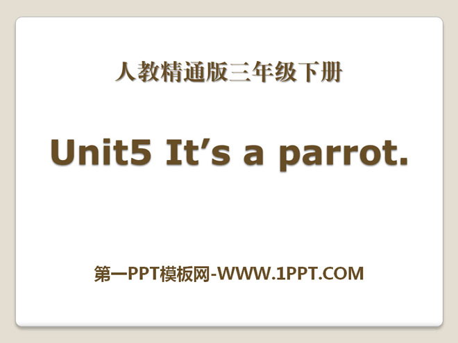 "It's a parrot" PPT courseware 4