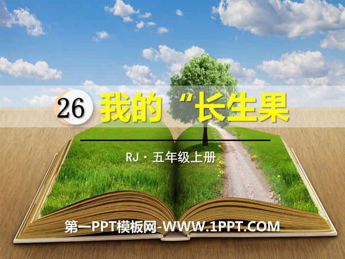 "My "Eternal Life Fruit"" PPT teaching courseware
