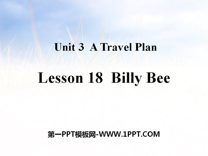《Billy Bee》A Travel Plan PPT課件
