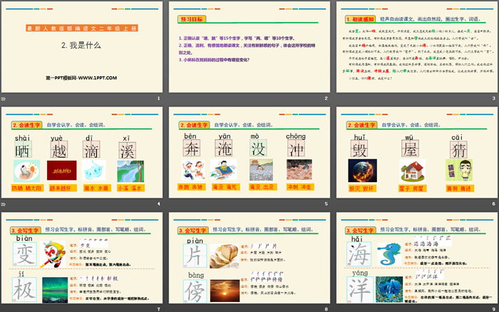 《我是什么》PPT课件下载（2）