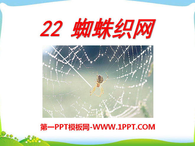 《蜘蛛織網》PPT課件2