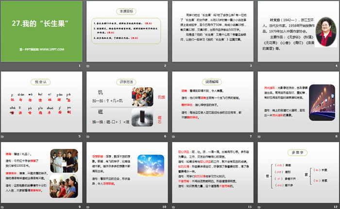 《我的“长生果”》PPT免费课件（2）