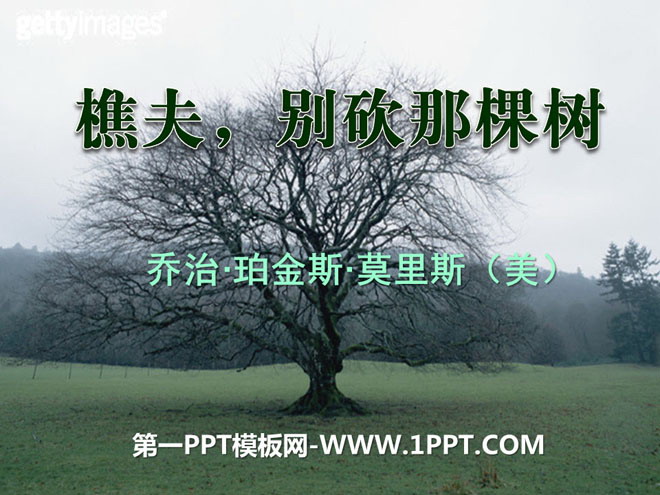 "Woodcutter-Don't chop down that tree" PPT courseware