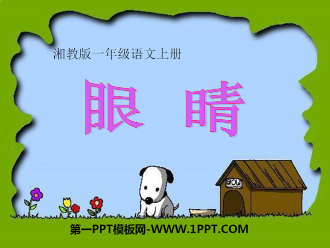 《眼睛》PPT课件
