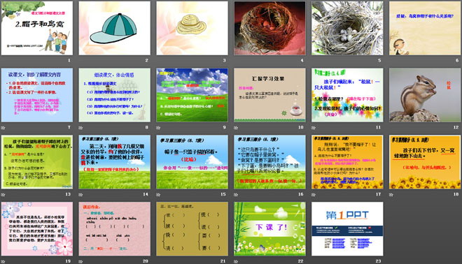 《帽子和鸟窝》PPT课件2
（2）