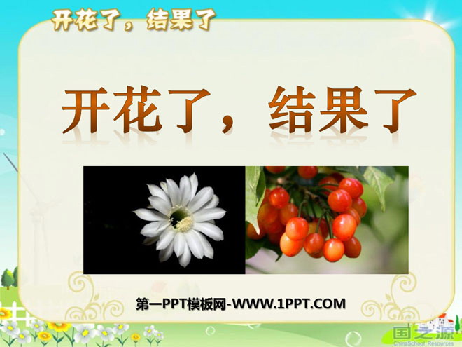 "Blooming and Fruiting" Plant Growth Changes PPT Courseware