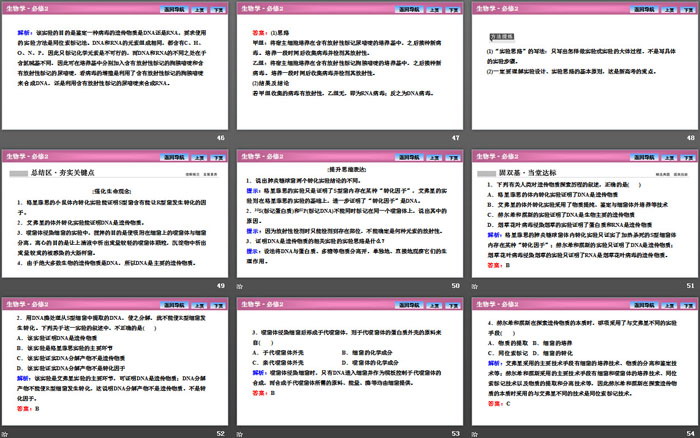 《DNA是主要的遗传物质》基因的本质PPT课件（7）