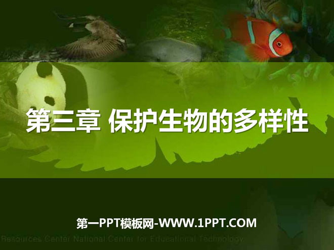 《保護生物的多樣性》PPT課件2