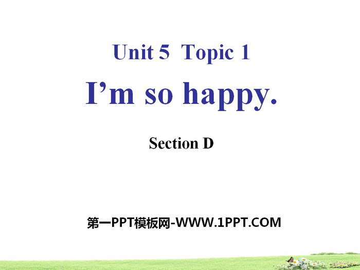 《I'm so happy》SectionD PPT