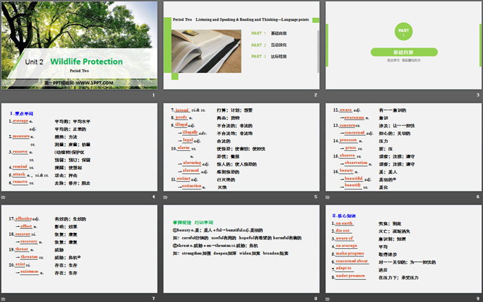 《Wildlife Protection》Period Two PPT（2）