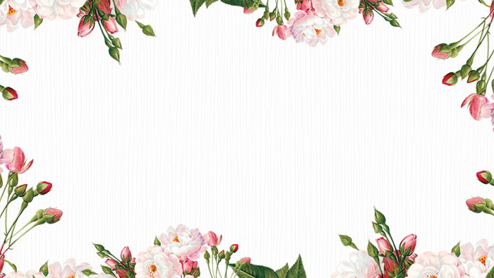 清新韓范植物花卉PPT邊框背景圖片