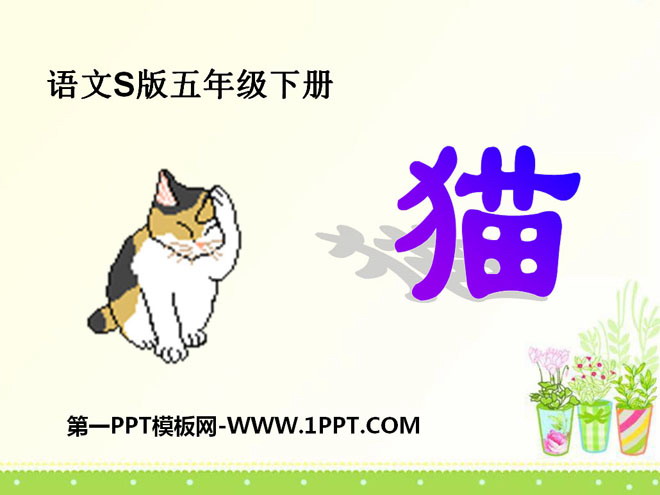 "Cat" PPT courseware 8