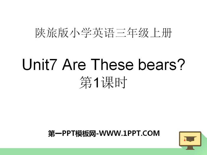 "Are These Bears?" PPT