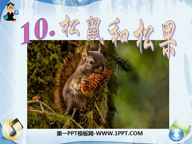 "Squirrel and Pine Cone" PPT Courseware 7