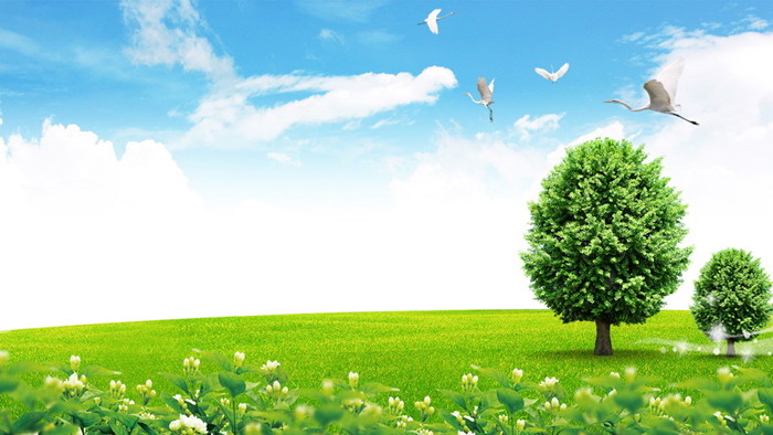 Four blue sky, white clouds, grass, green trees PPT background pictures