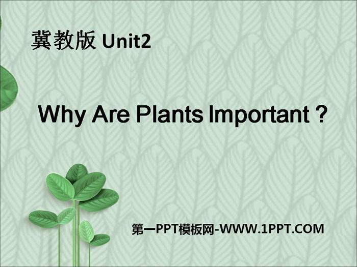 《Why Are Plants Important?》Plant a Plant PPT課件