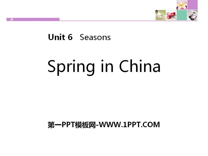 《Spring in china》Seasons PPT下载