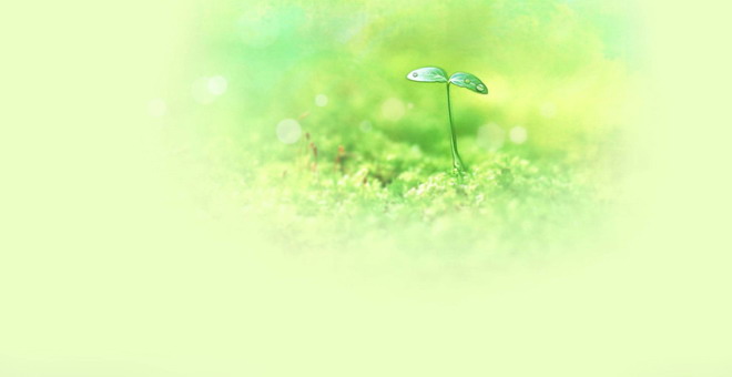 Blurred green seedlings PPT background picture
