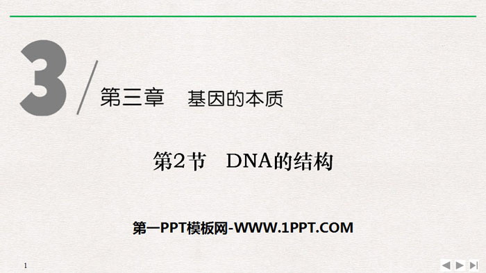 《DNA的結構》基因的本質PPT下載