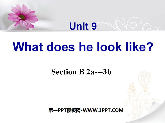 "What does he look like?" PPT courseware 2