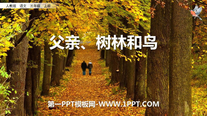 "Father, Woods and Birds" PPT high-quality courseware