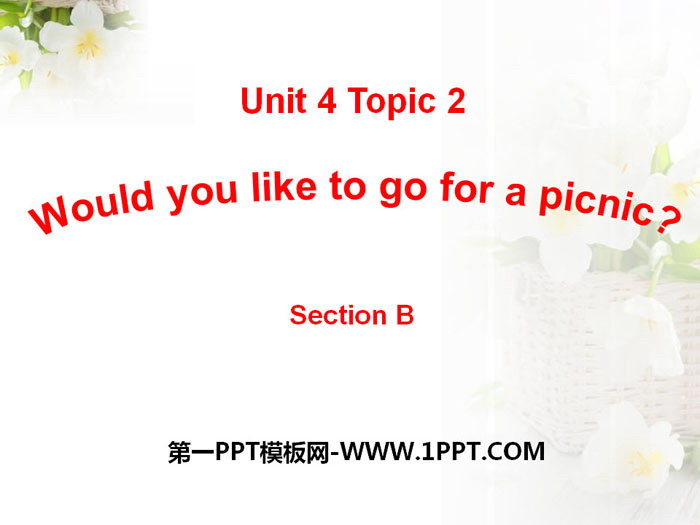 "Would you like to go for a picnic?" SectionB PPT