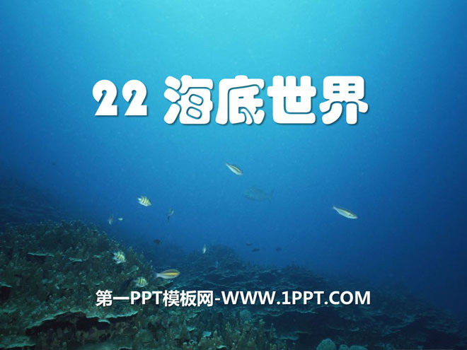 《海底世界》PPT课件7
