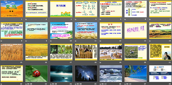 《夏感》PPT课件3
（2）
