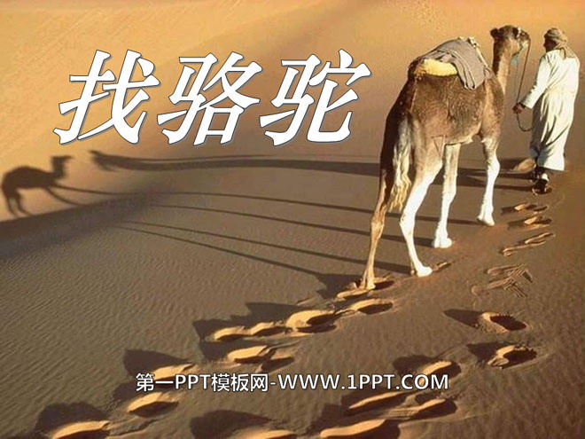 "Looking for Camels" PPT courseware 6