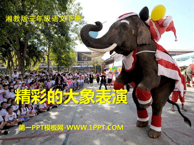 "Wonderful Elephant Performance" PPT courseware 2