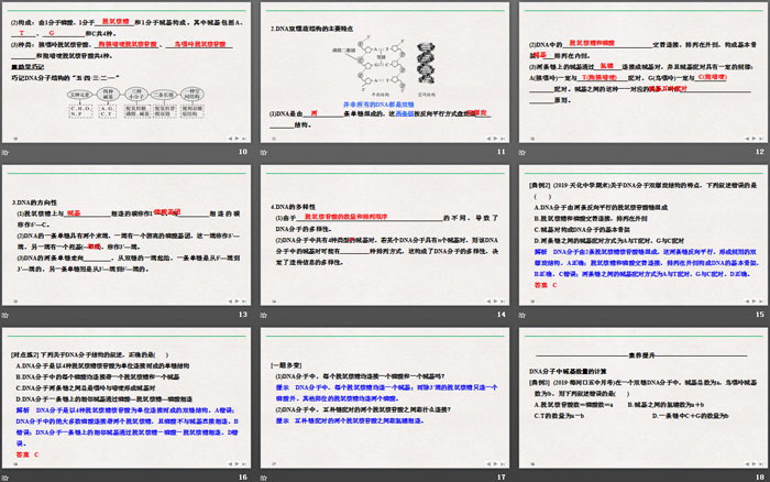 《DNA的结构》基因的本质PPT下载（3）