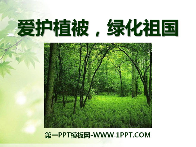 《愛護植被，綠化祖國》PPT課件5