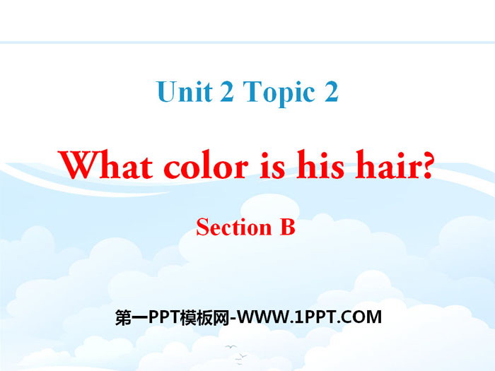 "What color is his hair?" SectionB PPT