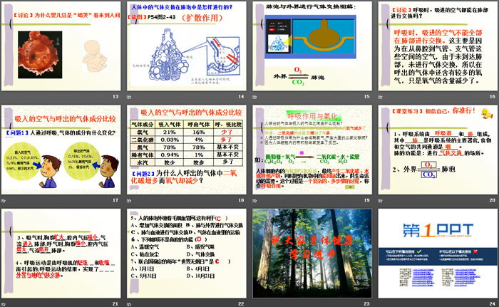 《生物的呼吸和呼吸作用》PPT（3）