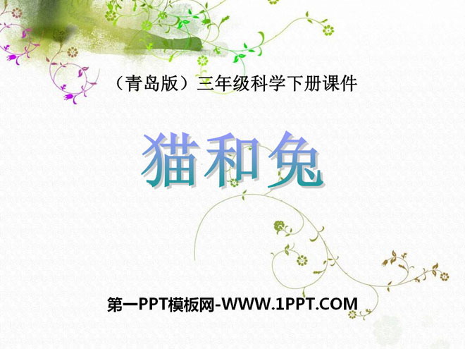 《貓和兔》PPT