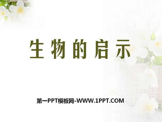 《生物的启示》PPT课件