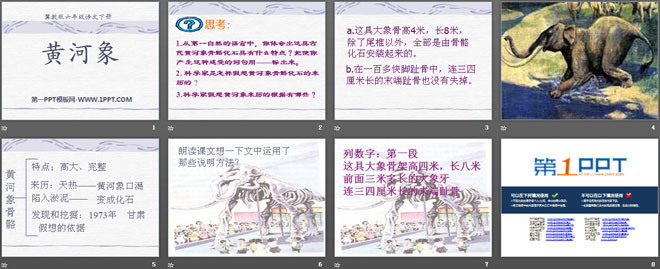 《黄河象》PPT课件5
（2）