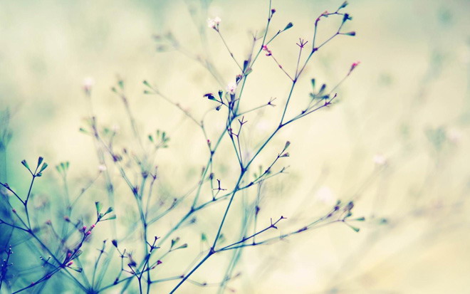 Messy and beautiful cherry blossom branches PPT background picture