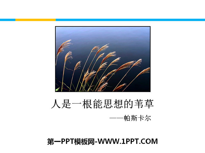 "Man is a thinking reed" PPT download of three short articles
