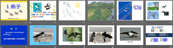 《燕子》PPT课件3（2）