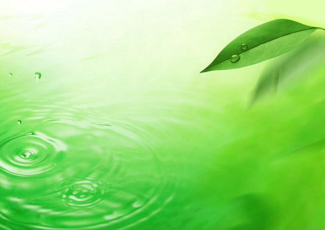 Green leaf water drop wave PPT background image