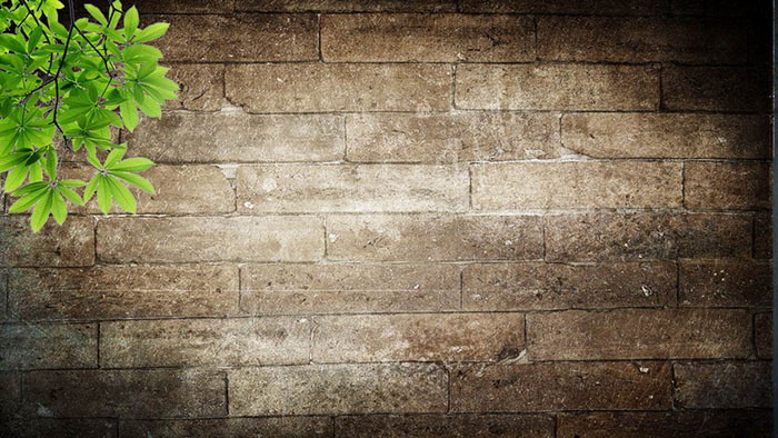 Brick wall and green leaves PPT background picture